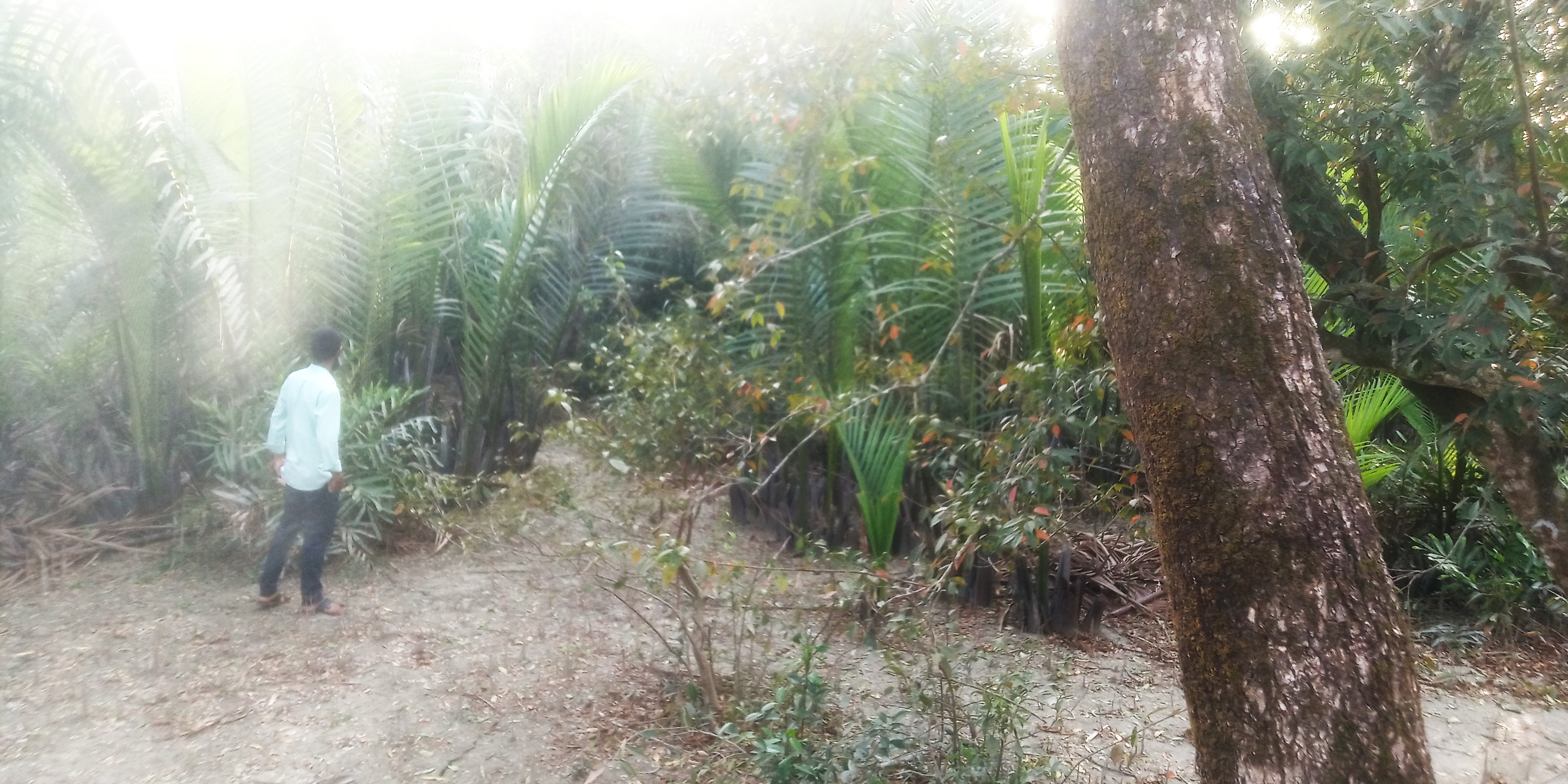 পড়াশোনার কোনো বয়স নেই: দেরিতে শুরু করলেও সফল হওয়া কি সম্ভব?