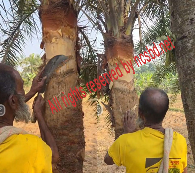 শীতের সকাল ও বিকেলের স্মৃতি: হারিয়ে যাওয়া এক মধুর সময়